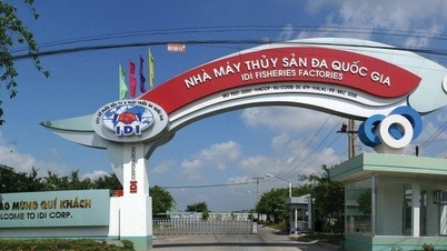 Can Tho ដកហូតអាជ្ញាប័ណ្ណធ្វើផែនការទីក្រុងតម្លៃ 2,400 ពាន់លានដុងរបស់ IDI