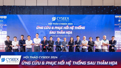 Ứng cứu và phục hồi hệ thống sau thảm họa tấn công mạng