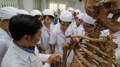 ស្ដង់ដារកម្មវិធីបណ្ដុះបណ្ដាលត្រូវបង្កើតក្នុងពេលឆាប់ៗនេះ។