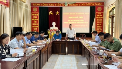 Sẵn sàng cho Giải Việt dã truyền thống Cúp Báo Hòa Bình năm 2023