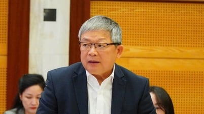 Latest information on bribery at Cong Minh Green Tree Company