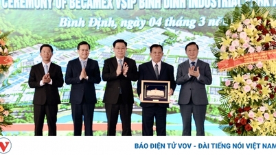 National Assembly Chairman attends the inauguration ceremony of Phase I, Becamex VSIP Binh Dinh Industrial Park