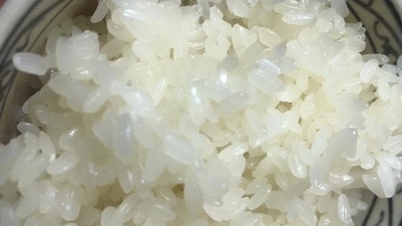 레스토랑처럼 맛있고 쫀득쫀득한 찹쌀밥을 만드는 팁