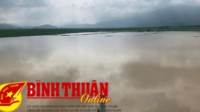 ហេតុការណ៍​អាកាសធាតុ​ខ្លាំង​កើតឡើង​ជា​បន្តបន្ទាប់ បង្ក​ឱ្យ​មានការ​ខូចខាត​យ៉ាងច្រើន ។