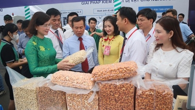 Ứng dụng công nghệ để nâng cao giá trị hạt điều Bình Phước