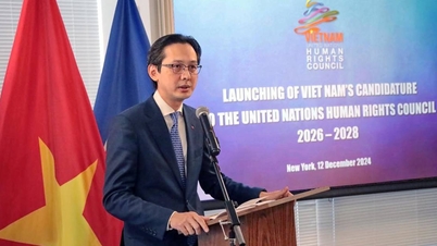 Vietnam commits to promoting the implementation of the common goals of the UNHRC