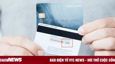 ¿Qué es el número CVV de una tarjeta de crédito?