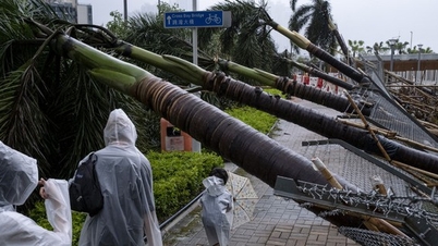 Bão Sao La đổ bộ Trung Quốc khiến cây ngã hàng loạt, một người chết