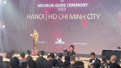 Hơn 100 nhà hàng Việt lần đầu vào danh sách Michelin