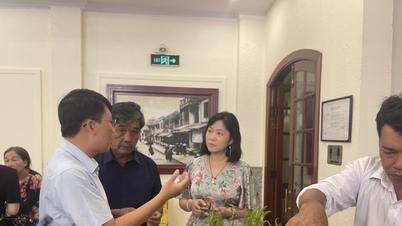 ការផលិតផ្លែស្រកានាគតាមស្តង់ដារកាបូនសម្រាប់តម្រូវការទីផ្សារ