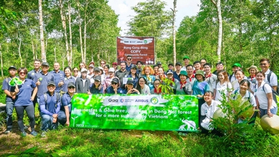ដាំ​ព្រៃ​ទំហំ ១,២៥ ហិកតា​នៅ​តំបន់​បម្រុង​ជីវមណ្ឌល​ដុងណៃ