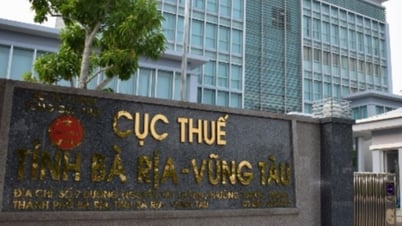 Ba Ria - Vung Tau: Strictly handle tax violations, boost state budget collection