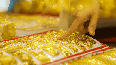 Gold price plummeted the most, losing 2.5 million after 1 night: Will it continue to decrease?