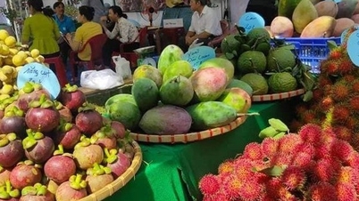 Lễ hội trái cây Long Khánh sẽ diễn ra từ ngày 15/6