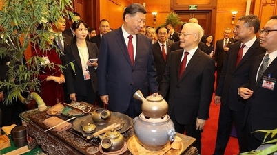 ‘Cây’ quyền lực mềm của Việt Nam ngày càng xòe tán rộng