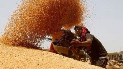 India extends free food program for another 5 years