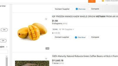 Số lượng người mua sản phẩm Việt Nam trên sàn Alibaba.com tăng 55%
