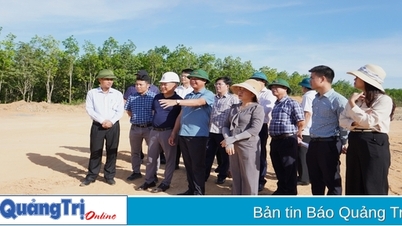 Kiểm tra, xử lý vướng mắc giải phóng mặt bằng và tái định cư dự án cao tốc Vạn Ninh