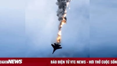 Bốn máy bay quân sự Nga bị bắn rơi gần Ukraine