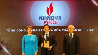 កម្លាំងជំរុញថ្មីរបស់ PVFCCo - Phu My