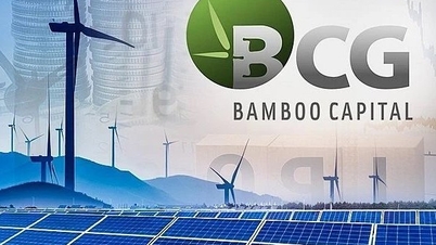Liên tục tăng vốn nóng, đầu tư lĩnh vực hot, Bamboo Capital vẫn ảm đạm