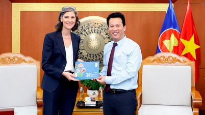 Bộ trưởng Đặng Quốc Khánh tiếp và làm việc với Trưởng đại diện UNDP tại Việt Nam