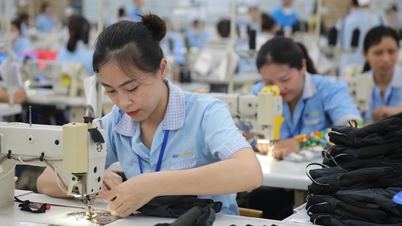 Đóng 15 năm có lương hưu, cơ hội cho công nhân từng rút bảo hiểm xã hội