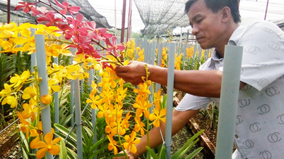 Quản lý đất đai hiệu quả hướng tới phát triển bền vững