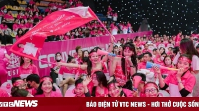 Nusee Pink Wonder 4 - សេចក្តីសង្ខេបនៃឆ្នាំ 2023 ដ៏អស្ចារ្យរបស់ Nusee Group