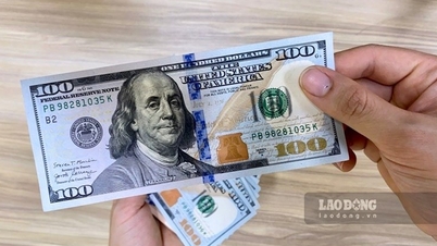 USD sẽ còn giảm, tỷ giá cuối năm ổn định mức 25.300 đồng