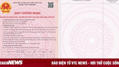 Sẽ phát hành thống nhất mẫu phôi sổ đỏ trên cả nước