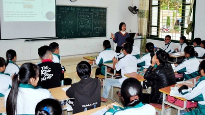 学習者のニーズに合った教育プログラムを発行する