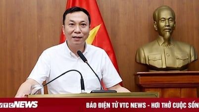 VFF họp Ban Chấp hành trước trận tuyển Việt Nam gặp Indonesia