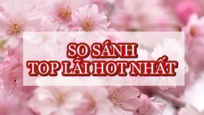 So sánh top ngân hàng lãi suất cao nhất
