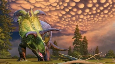 Revealed 6-horned monster in America, weighing up to 5 tons