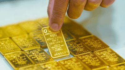 Gold is about to be sold off or skyrocket to hundreds of millions of dong/tael?