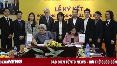Chuyên gia IFC kỳ vọng SHB tăng gấp đôi dư nợ cho doanh nghiệp do phụ nữ làm chủ