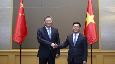 Proposing China to facilitate the export of lobsters and many other agricultural products of Vietnam
