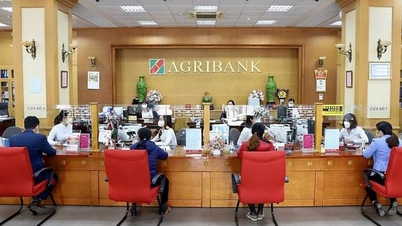 Agribank បានបង្កើនដើមទុនធម្មនុញ្ញរបស់ខ្លួនជាផ្លូវការដល់ជិត 52,000 ពាន់លានដុង