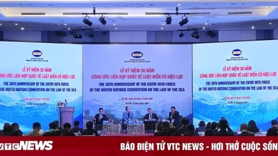 Vietnam always complies with, fully and responsibly implements the provisions of UNCLOS.