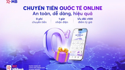 BIZ MBBank៖ ដៃគូដ៏គួរឱ្យទុកចិត្តរបស់សហគ្រាសនាំចូល-នាំចេញ