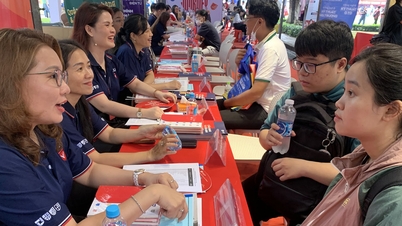 Hàng loạt trường đại học sẽ công bố điểm chuẩn từ chiều 17-8