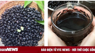 មនុស្ស 4 ក្រុមដែល "មិនចូលចិត្ត" ចំពោះសណ្តែកខ្មៅ