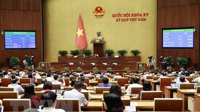 Kỳ họp thứ 5 Quốc hội khóa XV Thảo luận về dự án Luật Kinh doanh bất động sản sửa đổi