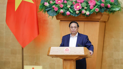 ប្រាក់ខែគោលបានកើនឡើង ប៉ុន្តែអតិផរណាកើនឡើងតិចតួច