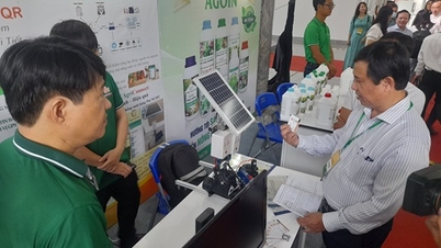 Hau Giang: Opening of Digital Transformation and Innovative Startup Week
