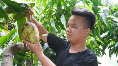 Cậu bé buồn tủi thành chàng trai của giải thưởng sáng tạo, đậu 3 trường đại học