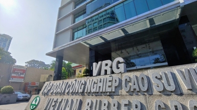 Cao su Việt Nam (GVR) điều chỉnh giảm kế hoạch vẫn chậm mục tiêu đề ra