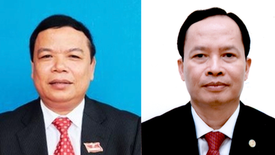 ការត្រួតពិនិត្យវិន័យរបស់អតីតលេខាបក្ស Thanh Hoa ពីររូប