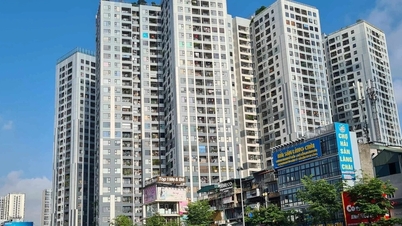 Expert: The thirst for apartments continues in the center of Hanoi